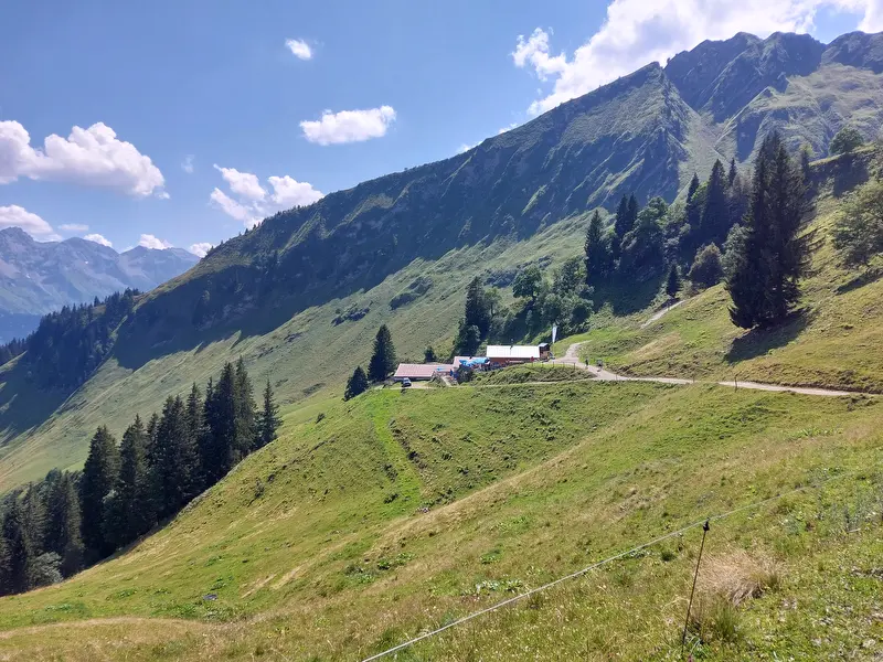 Sölleralp am Berghang